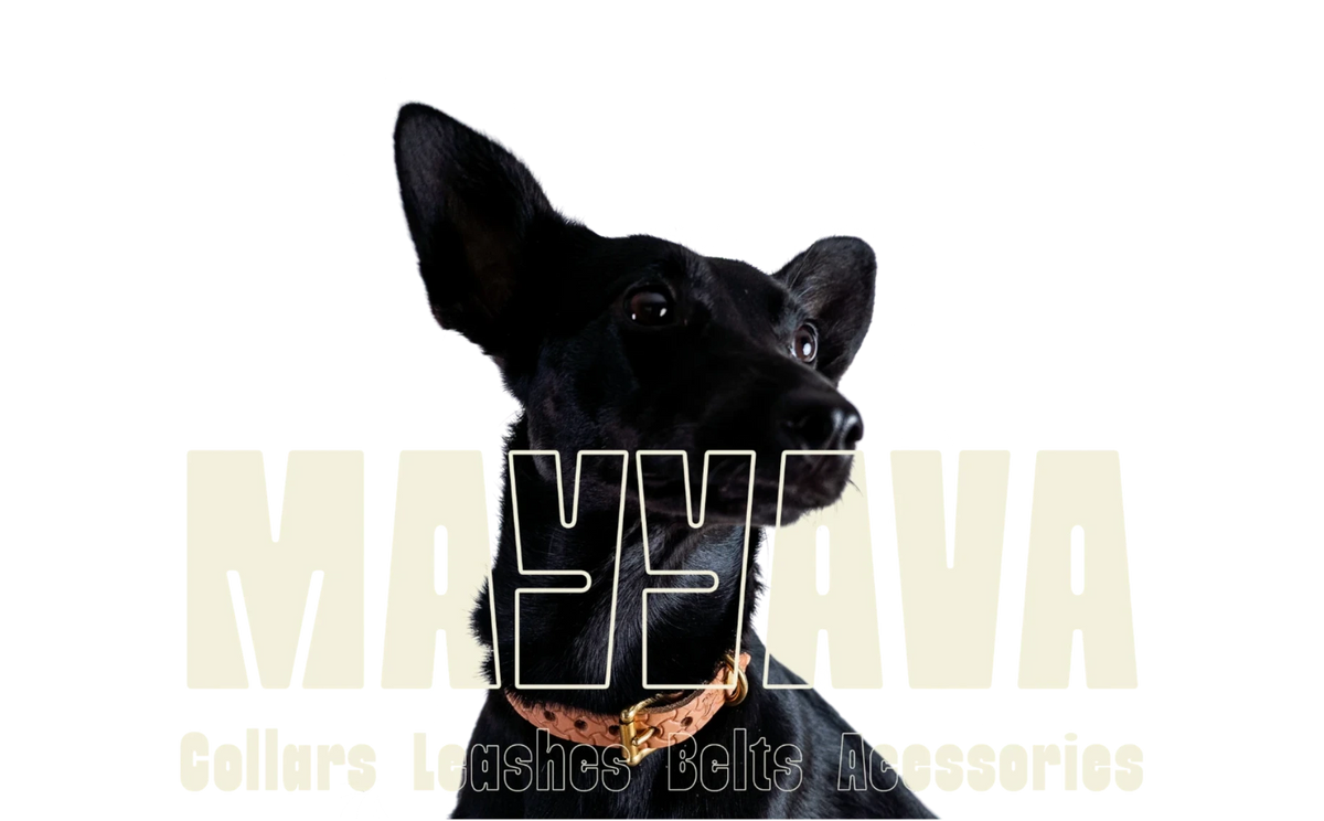 MAYYAVA — Halsbänder, Leinen, Gürtel, Accessoires
